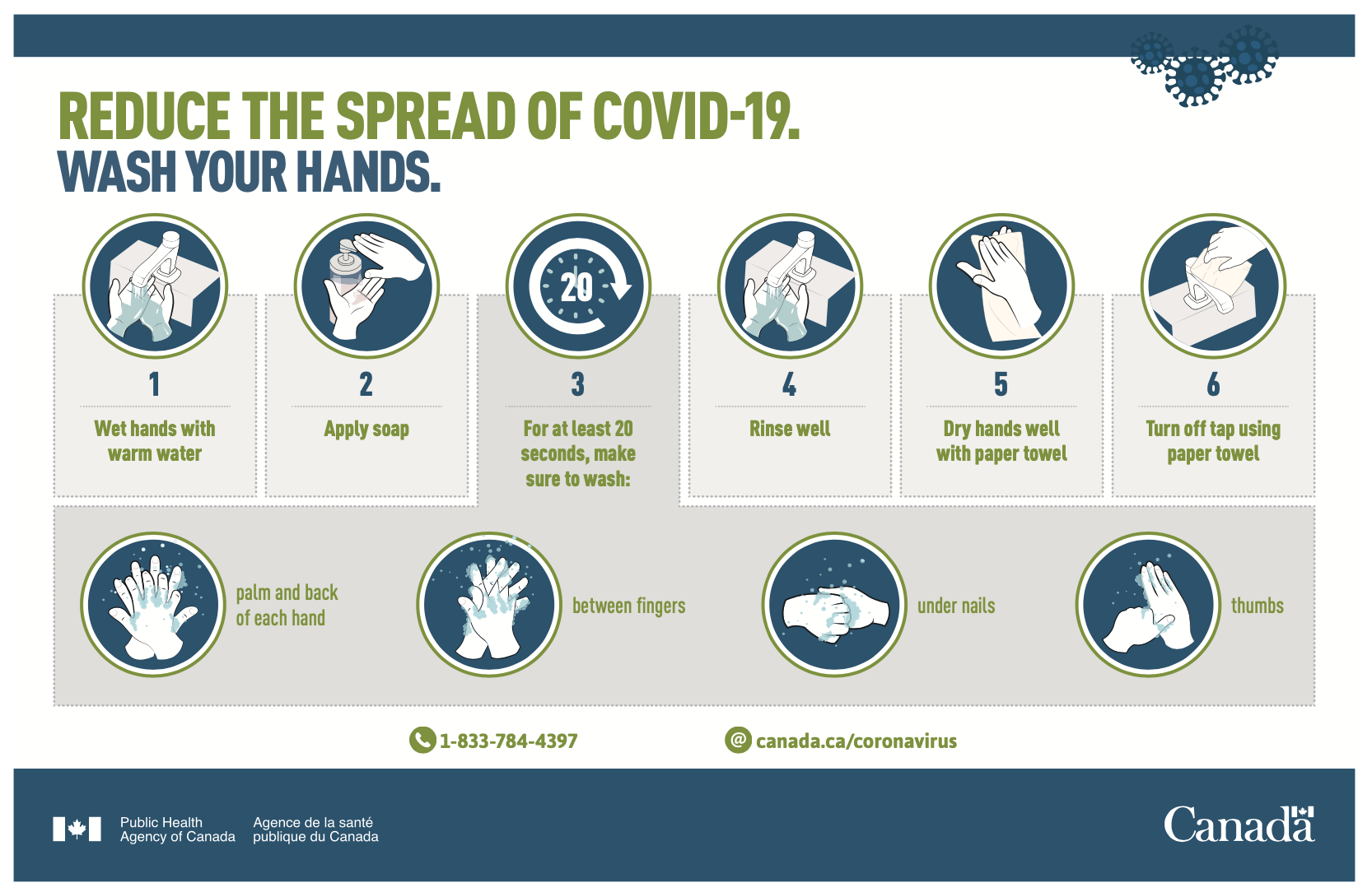 Reduce the spread of COVID-19 infographic