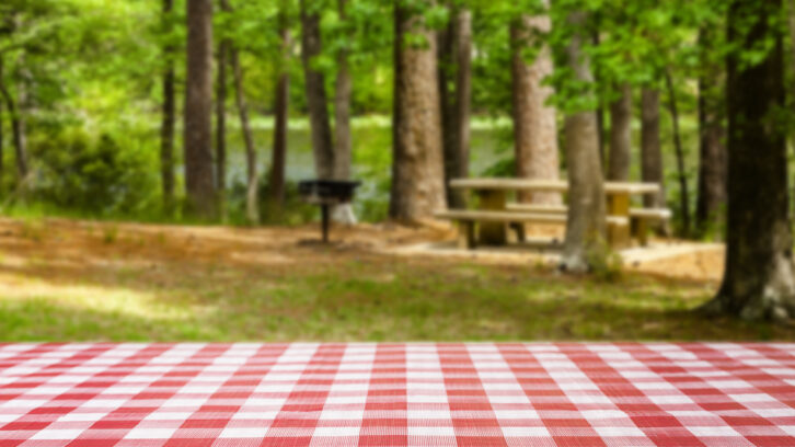 picnic table with red checkered tablecloth in a park by a lake